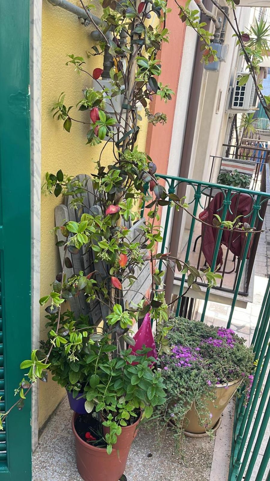 La Casa Di Nonna Sisina Villa Mola di Bari Dış mekan fotoğraf