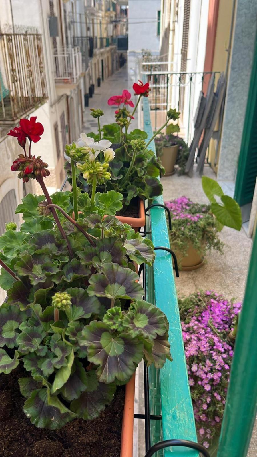 La Casa Di Nonna Sisina Villa Mola di Bari Dış mekan fotoğraf