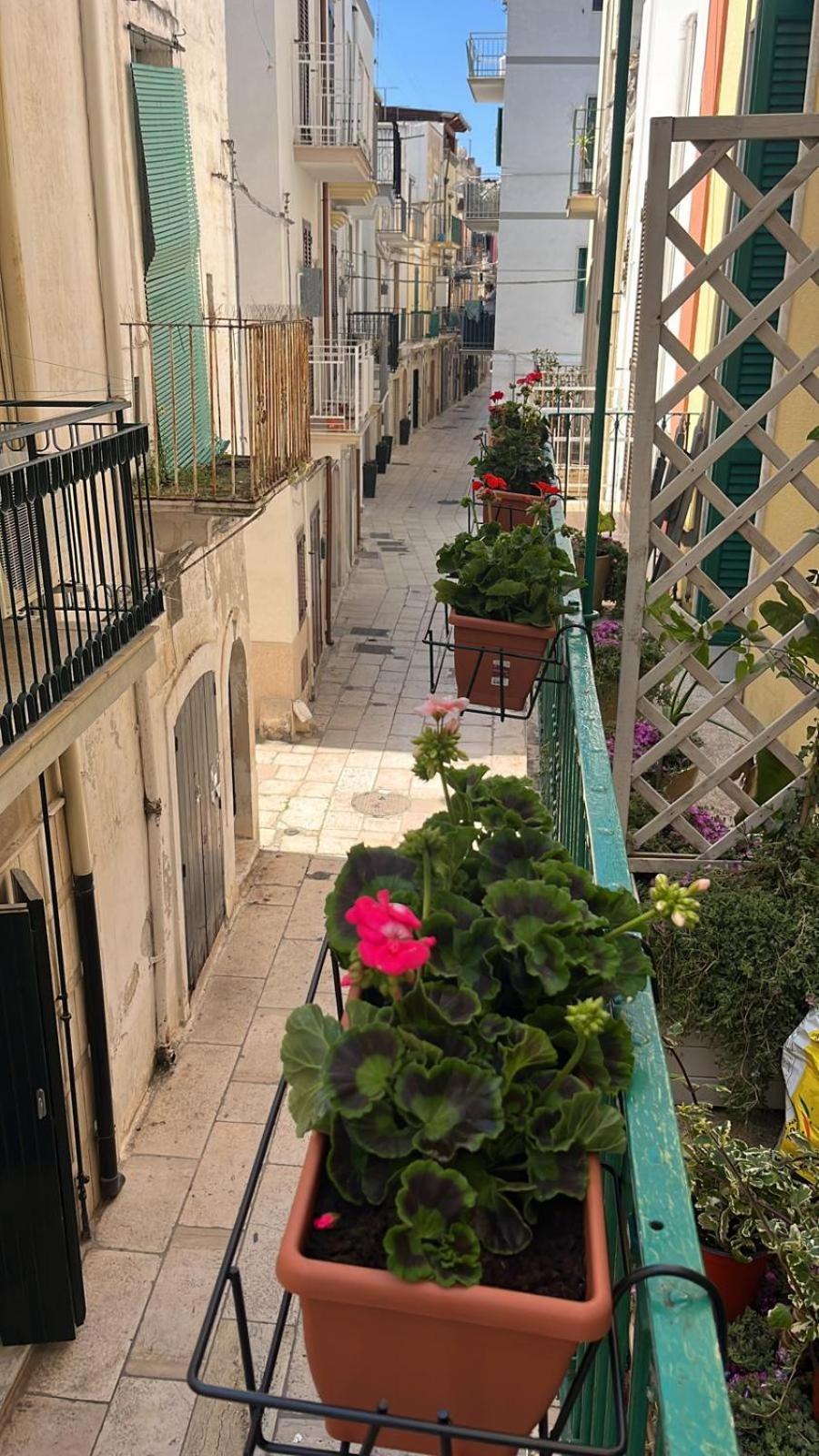 La Casa Di Nonna Sisina Villa Mola di Bari Dış mekan fotoğraf